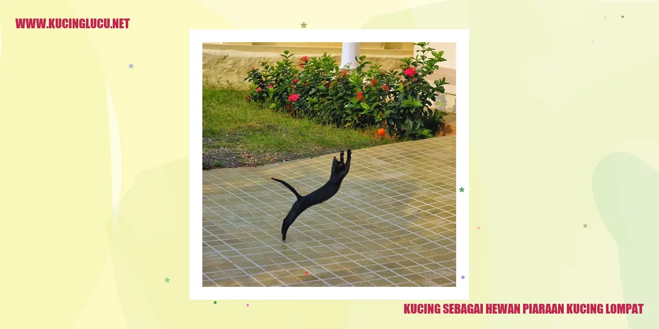 Gambar kucing melompat