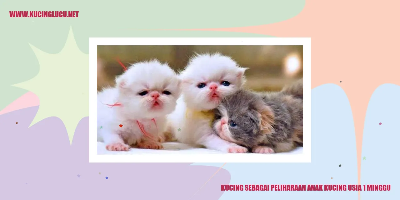 Kucing sebagai Hewan Peliharaan anak kucing 1 minggu