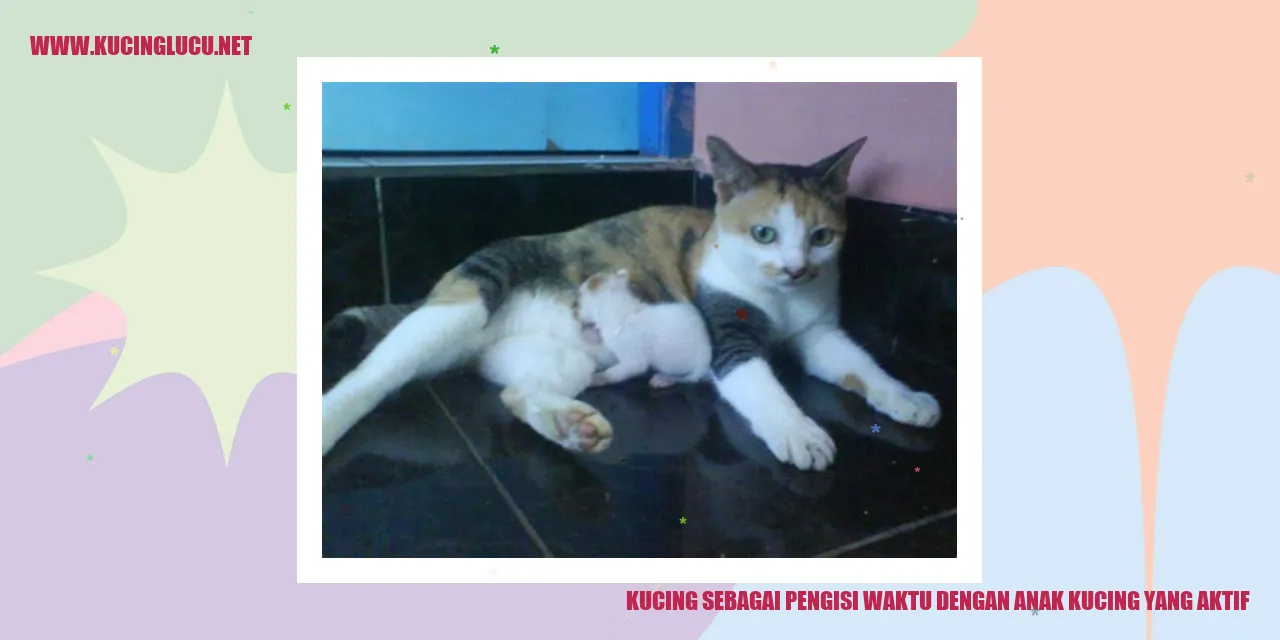 Kucing Sebagai Pengisi Waktu dengan Anak Kucing yang Aktif