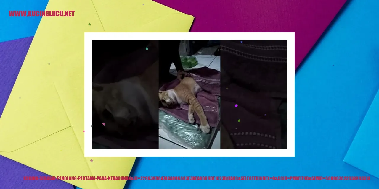 Kucing sebagai Hewan Peliharaan pertolongan pertama pada kucing keracunan