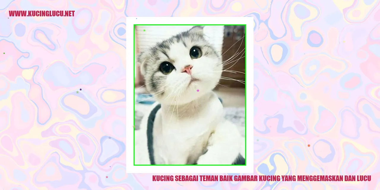 Sebuah gambar kucing yang menggemaskan