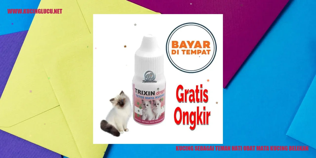 Kucing sebagai Teman Hati obat mata kucing belekan