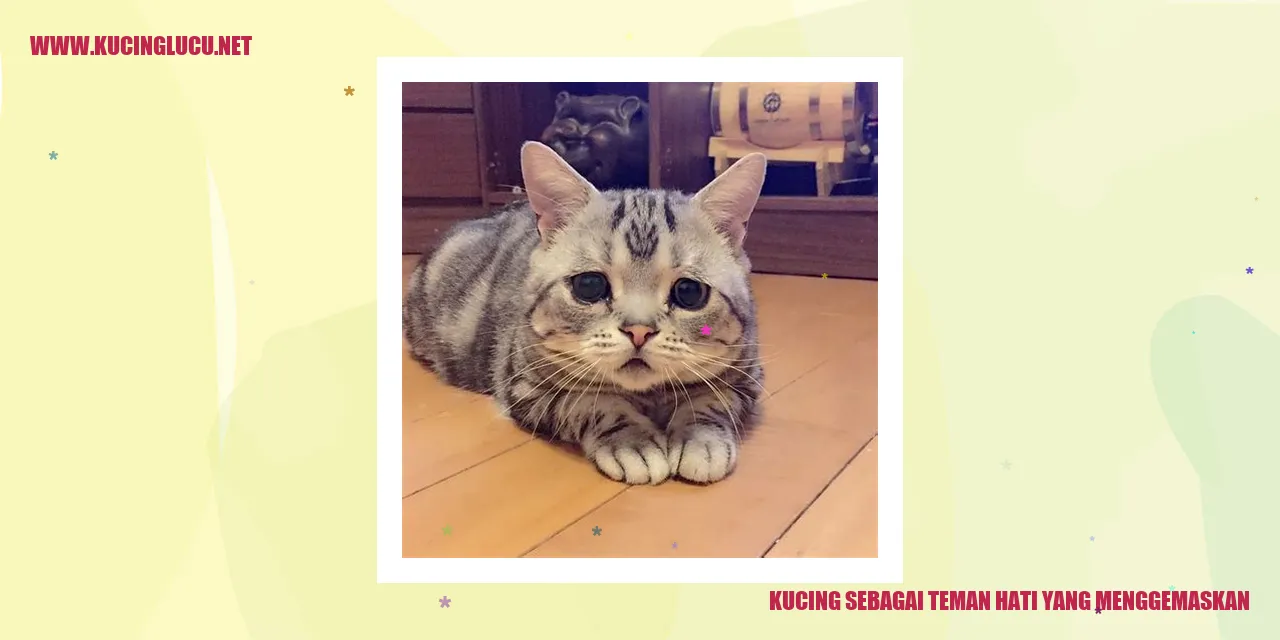 Kucing yang mengalami luka berlubang dan bernanah