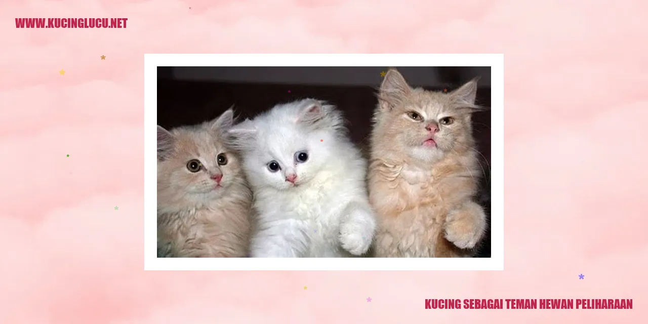 Gambar menawan kucing