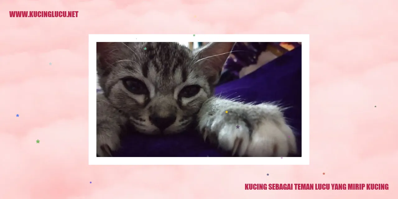 Gambar Kucing Menggemaskan