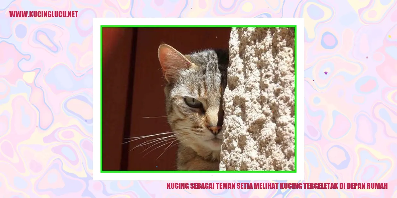 Kucing sebagai Teman Setia