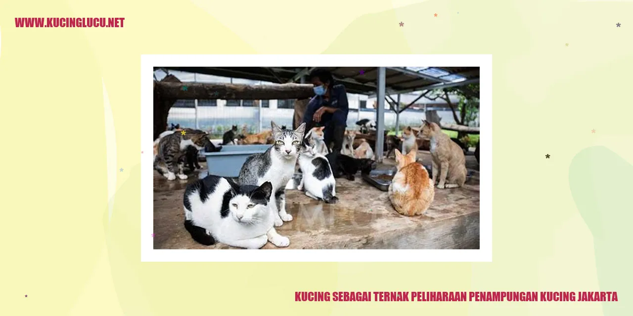 Ilustrasi Kucing