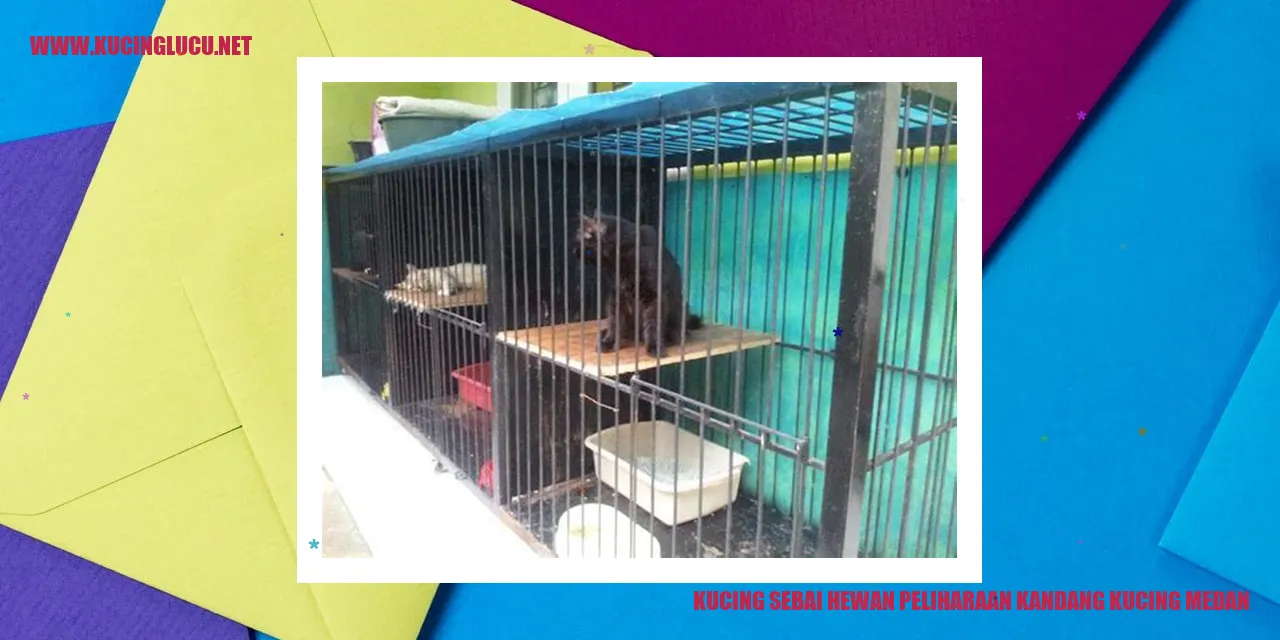 Kucing, teman yang menggemaskan dan cerdas