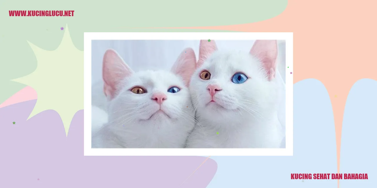Perawatan Kesehatan Kucing