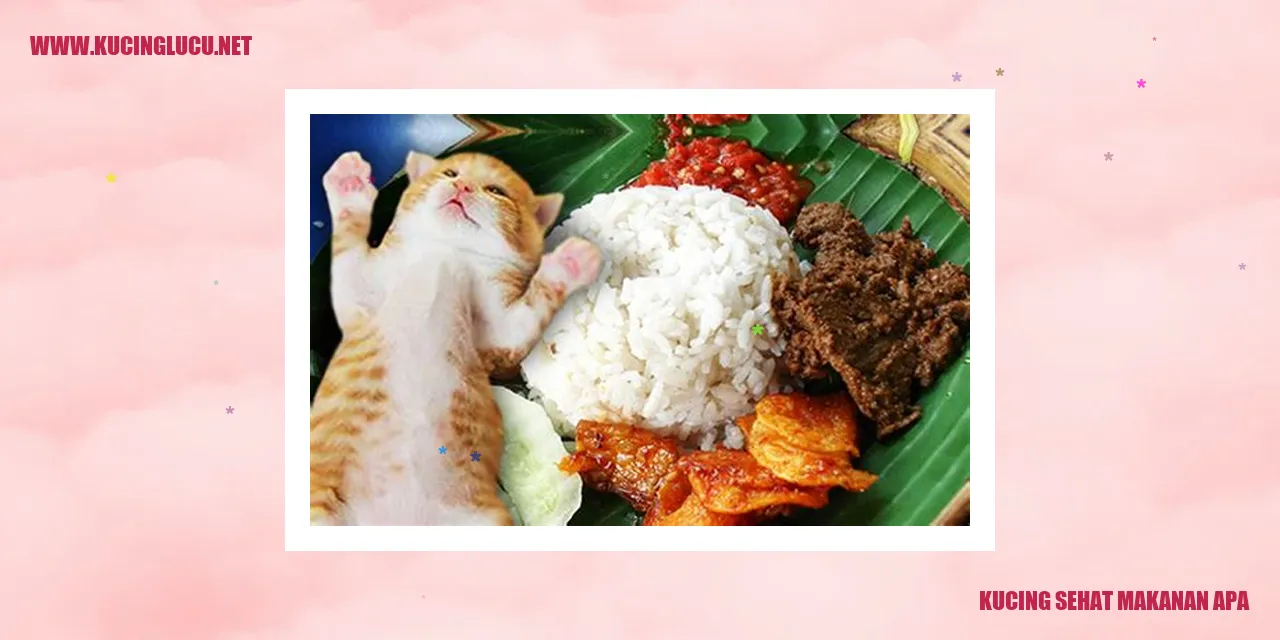 Makanan Kucing