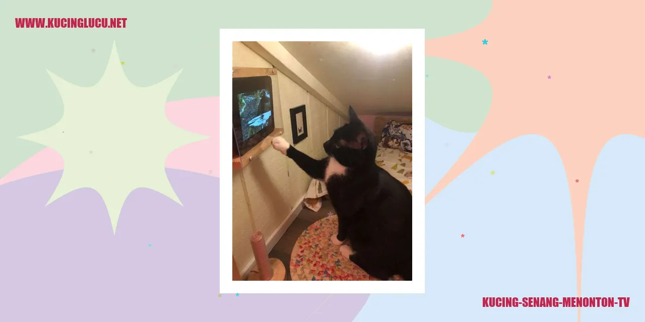 Kucing Senang Menonton TV
