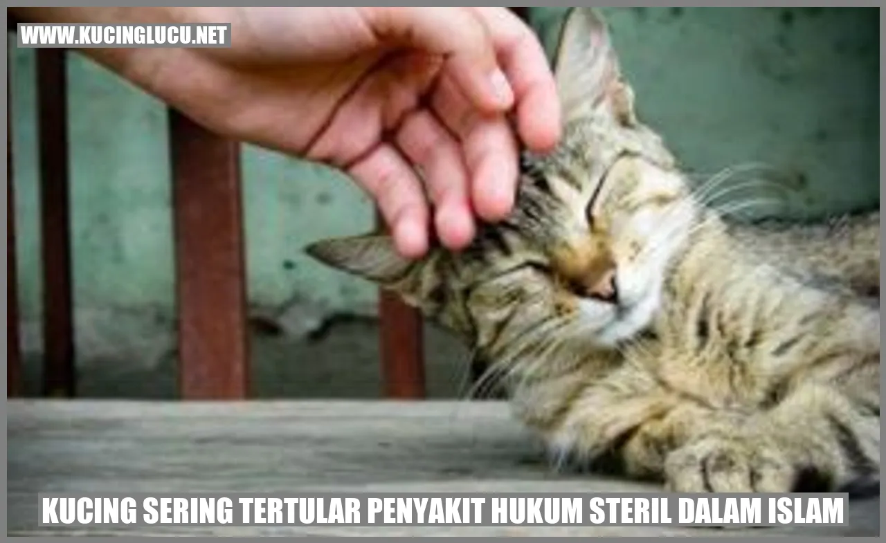Kucing Santai