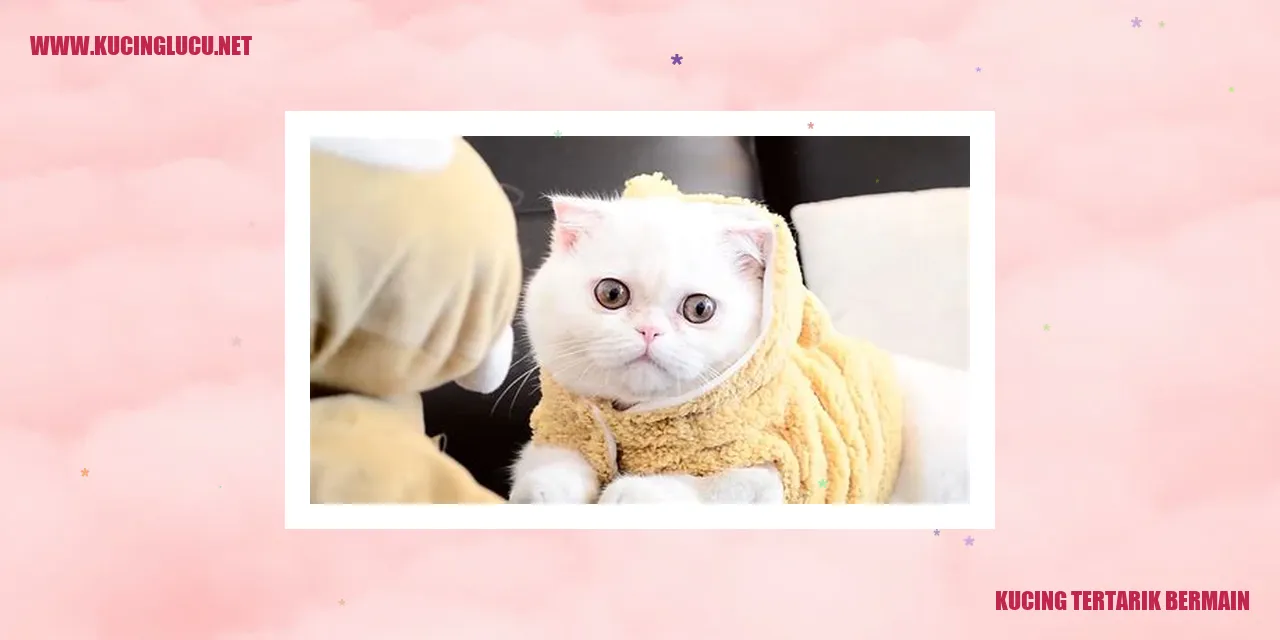 Gambar Kucing Tertarik Bermain