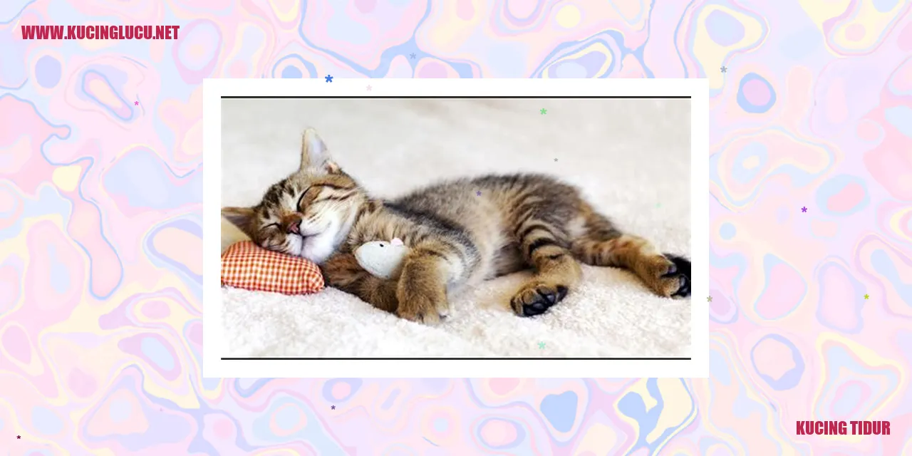 Gambar Kucing Tidur