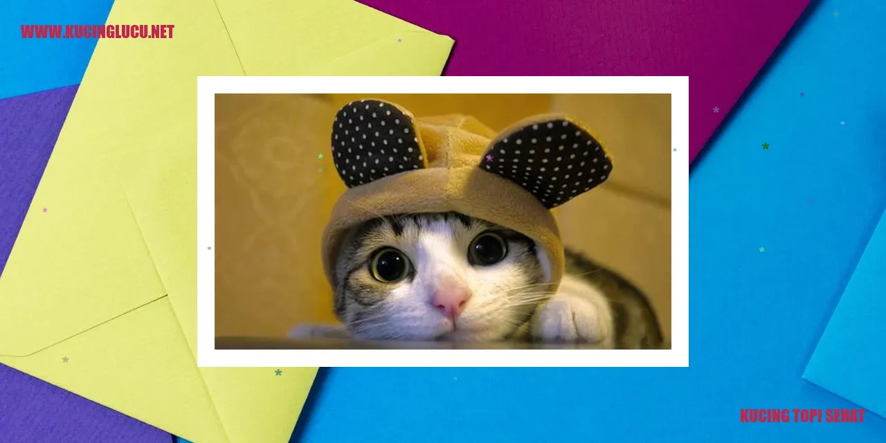 Perawatan Kesehatan Kucing Topi