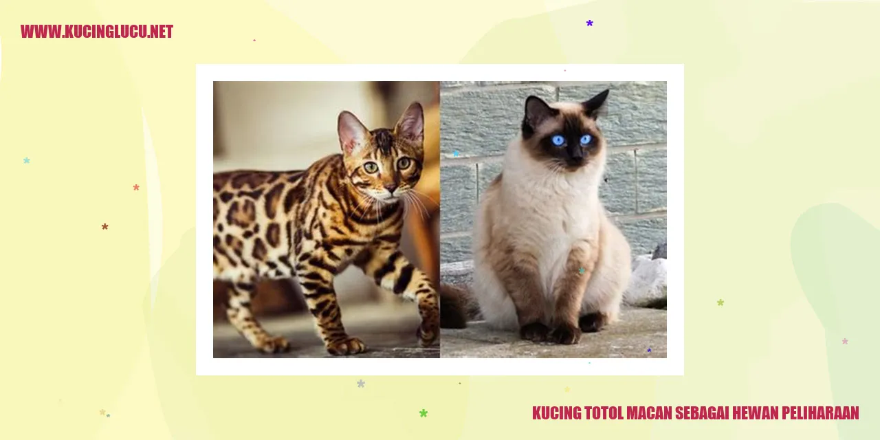 Kucing Totol Macan sebagai Hewan Peliharaan