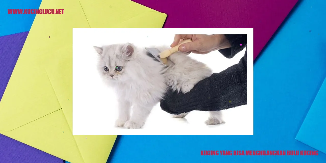 Gambar Kucing Penghilang Bulu Kucing