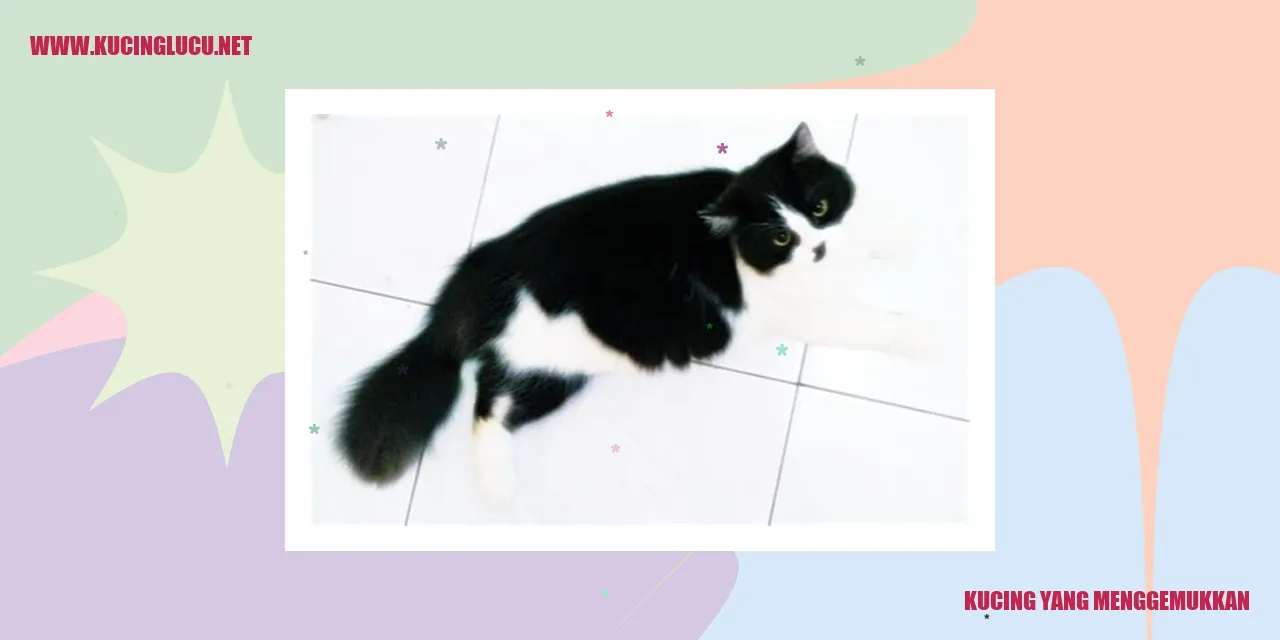 Kucing yang Menggemukkan