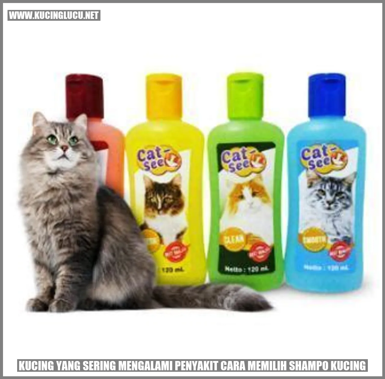 Penyakit yang Sering Menimpa Kucing