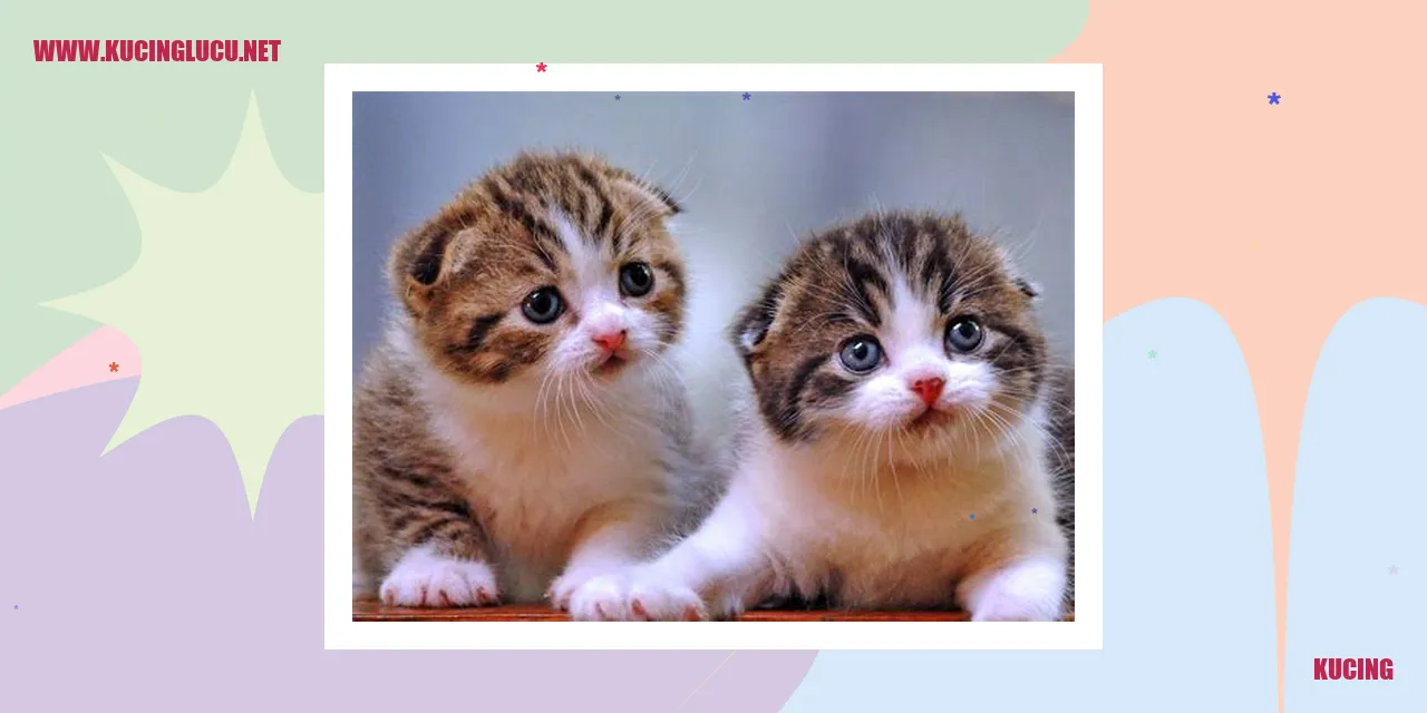 Kucing china ukiran bekas banding