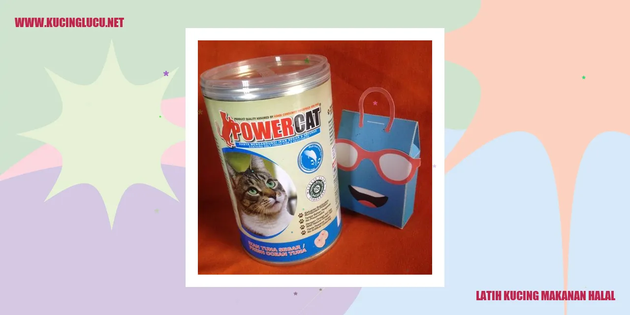 Teknik Melatih Kucing Makanan Kucing Halal