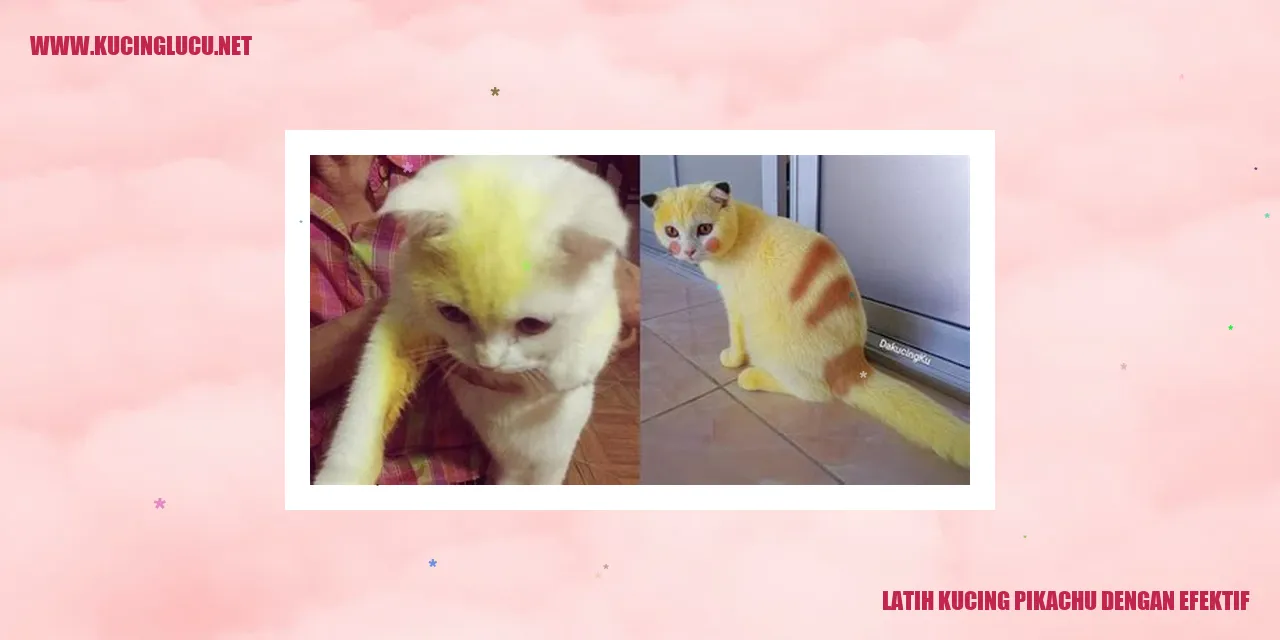 Kucing Pikachu
