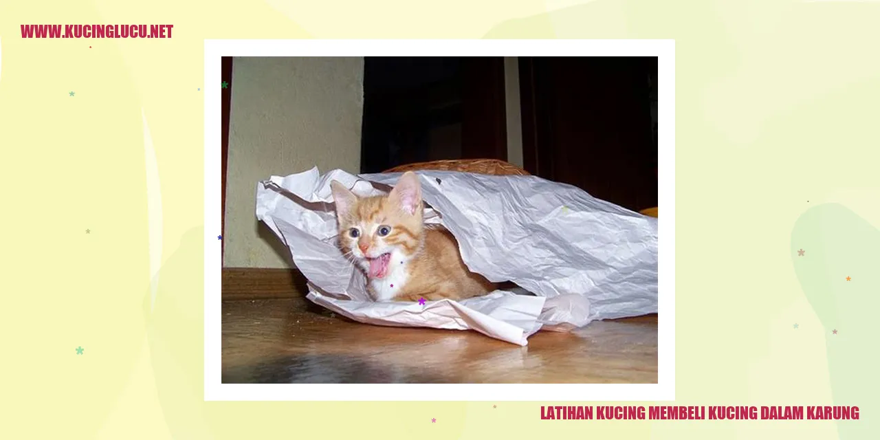 Kucing sedang bermain di dalam karung