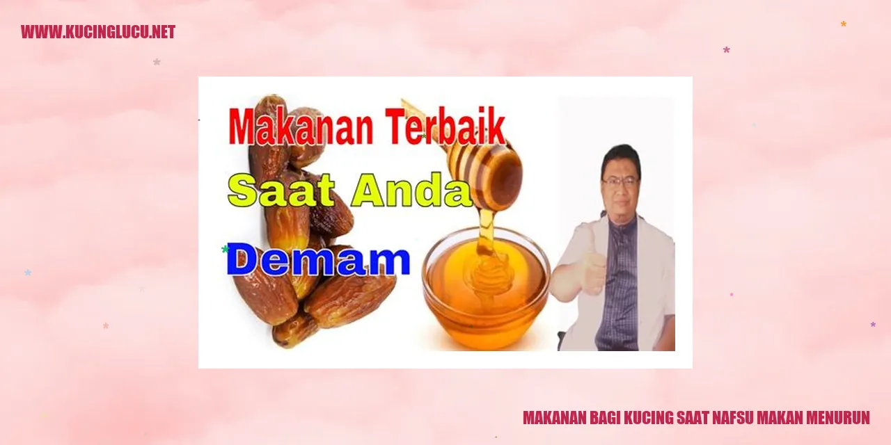 Makanan yang Pas untuk Kucing