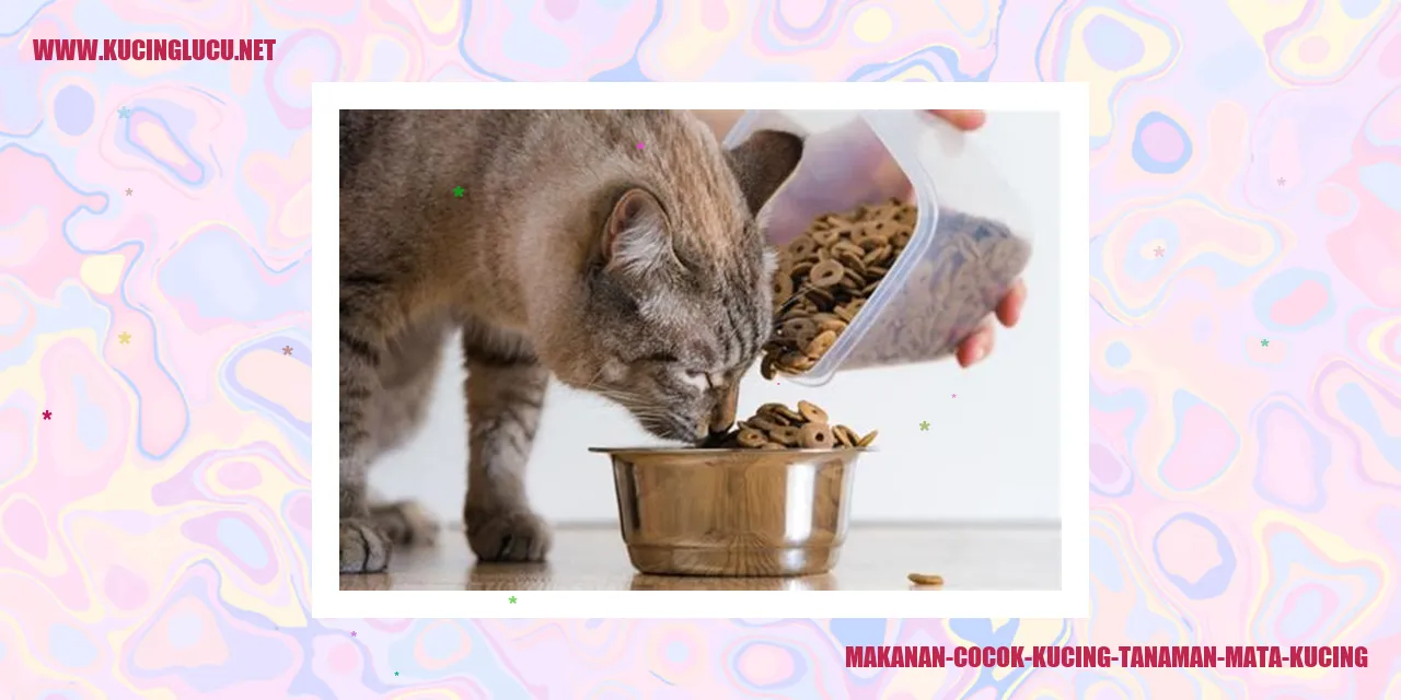 Gambar kucing sedang makan