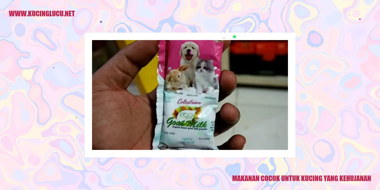 Makanan Untuk Kucing
