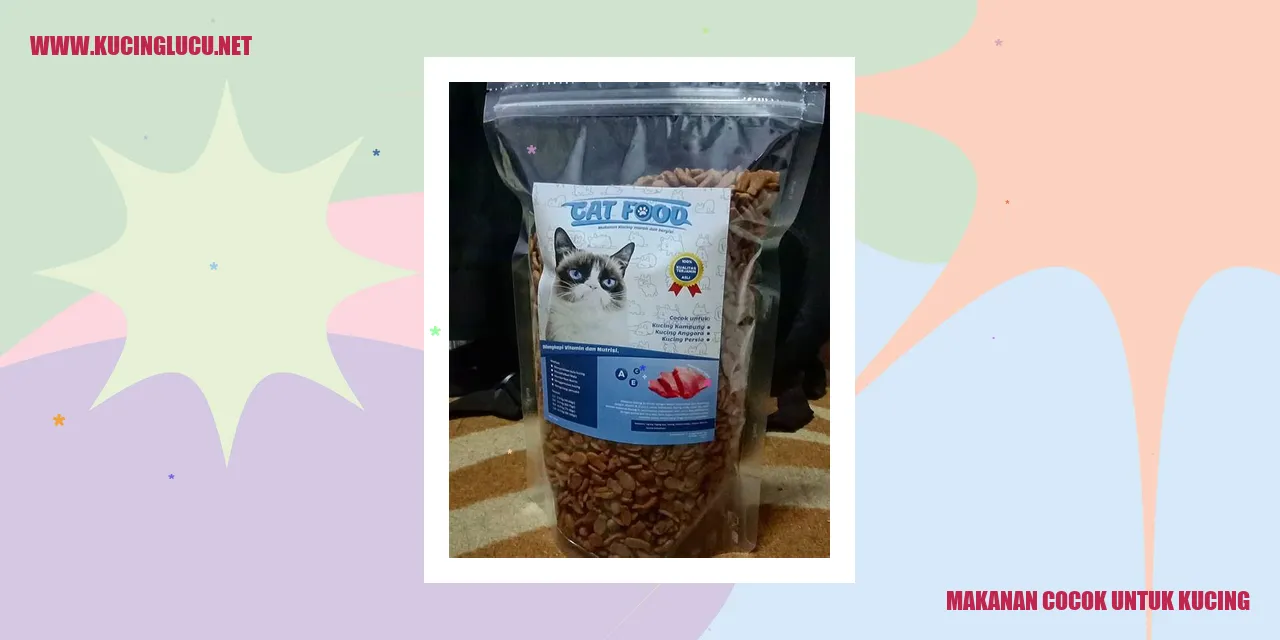 Makanan Kucing