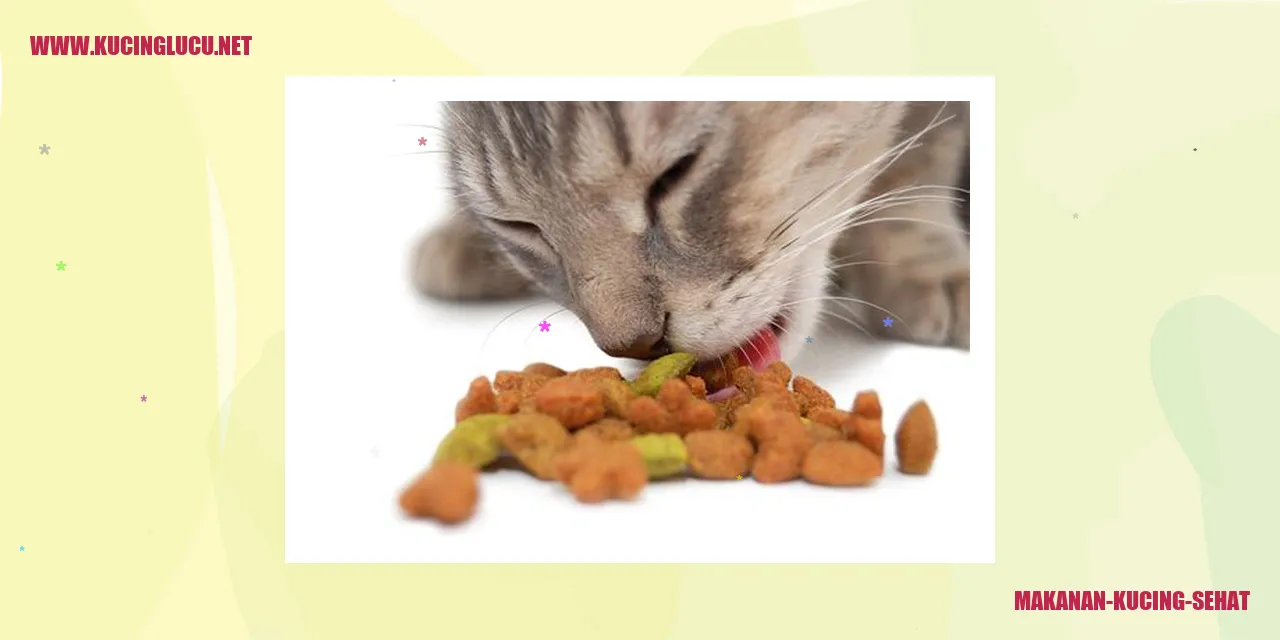Makanan Sehat untuk Kucing