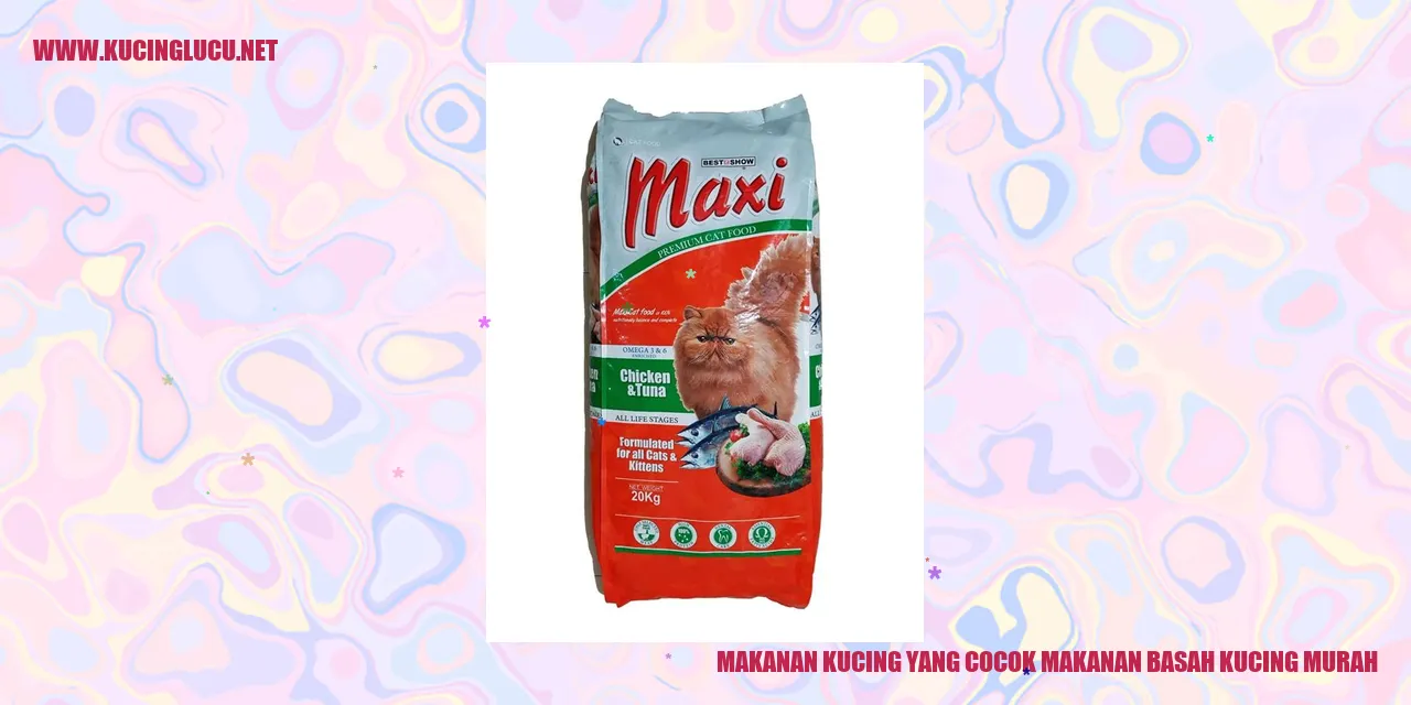 Makanan Kucing