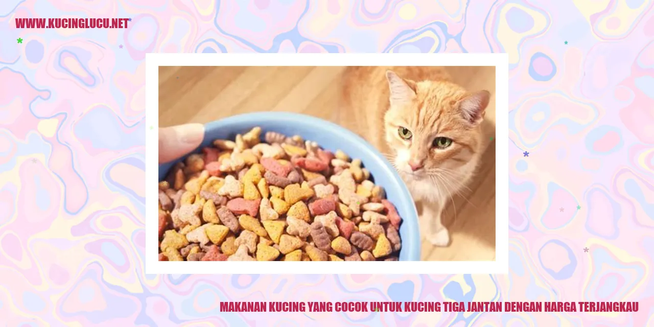 Makanan Kucing yang Cocok untuk Kucing Tiga Jantan dengan Harga Terjangkau