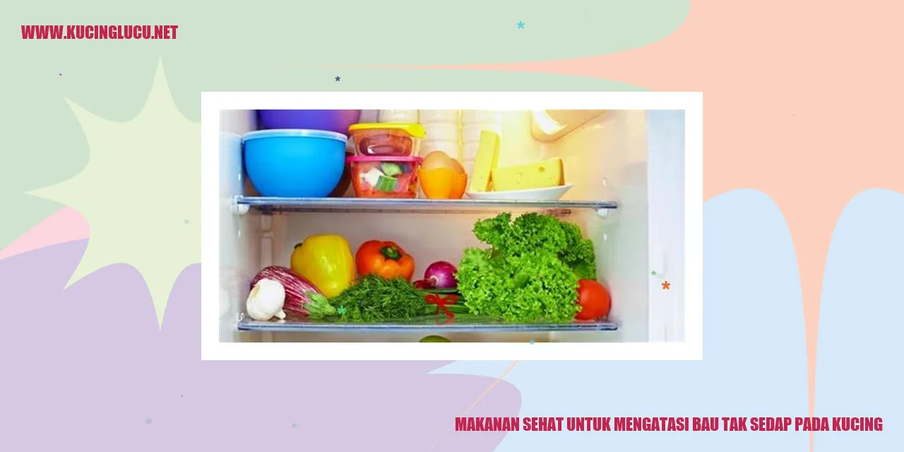 Makanan Sehat untuk Mengatasi Bau Tak Sedap pada Kucing
