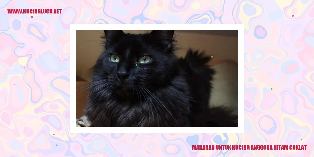 Gambar Kucing Anggora Hitam Coklat
