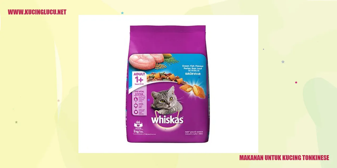 Makanan untuk Kucing Tonkinese