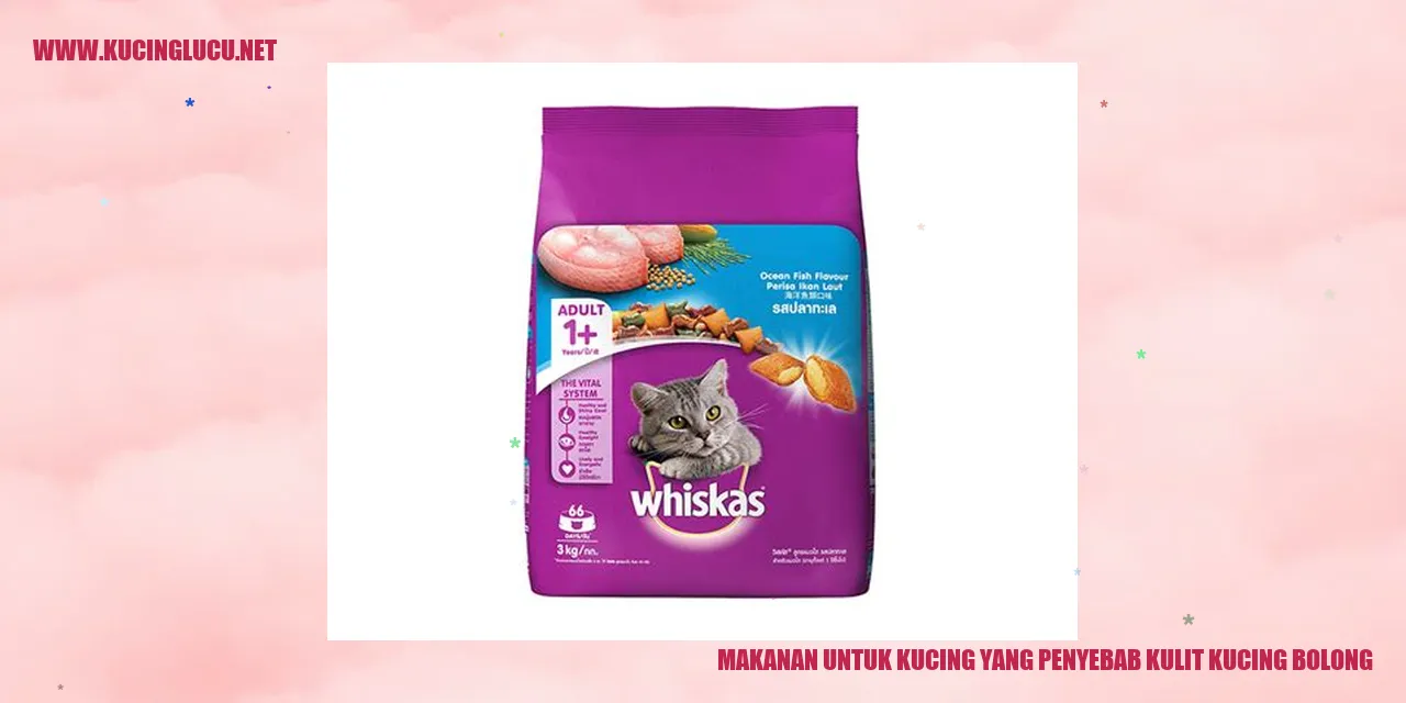Rekomendasi Makanan untuk Kucing yang Menyebabkan Kulitnya Bolong