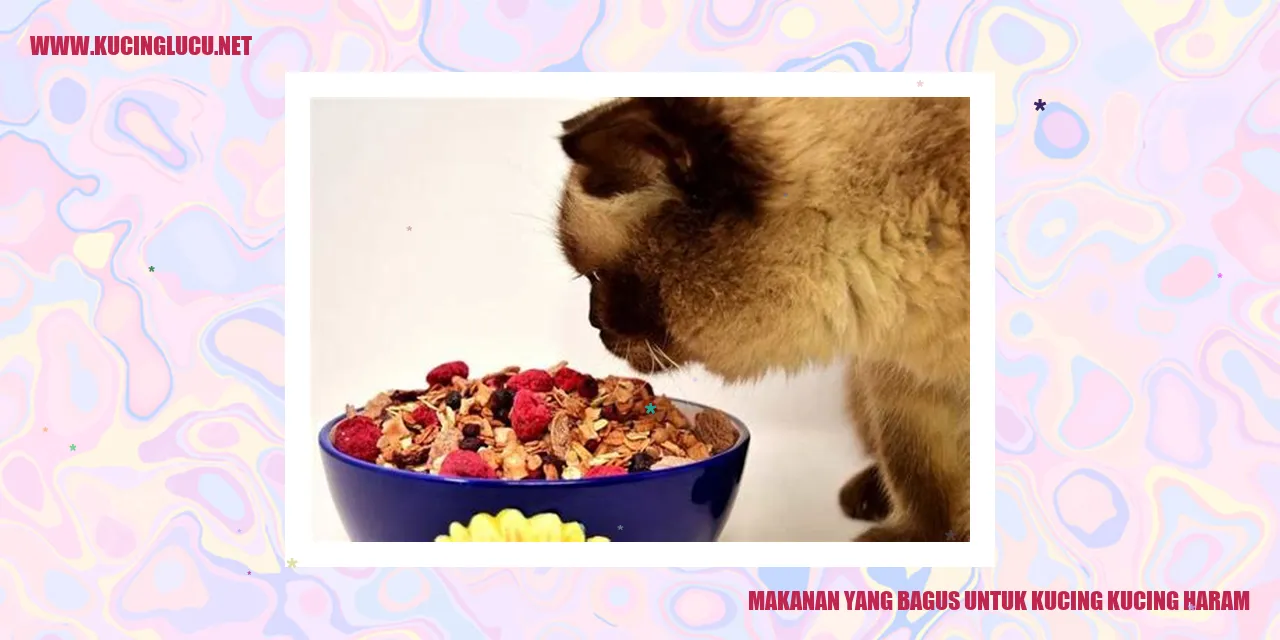 Gambar Kucing yang Sehat