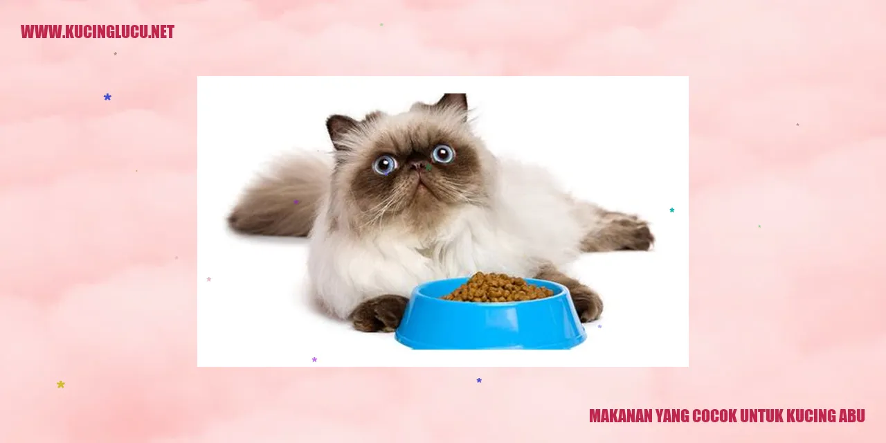 Makanan yang Cocok untuk Kucing Abu