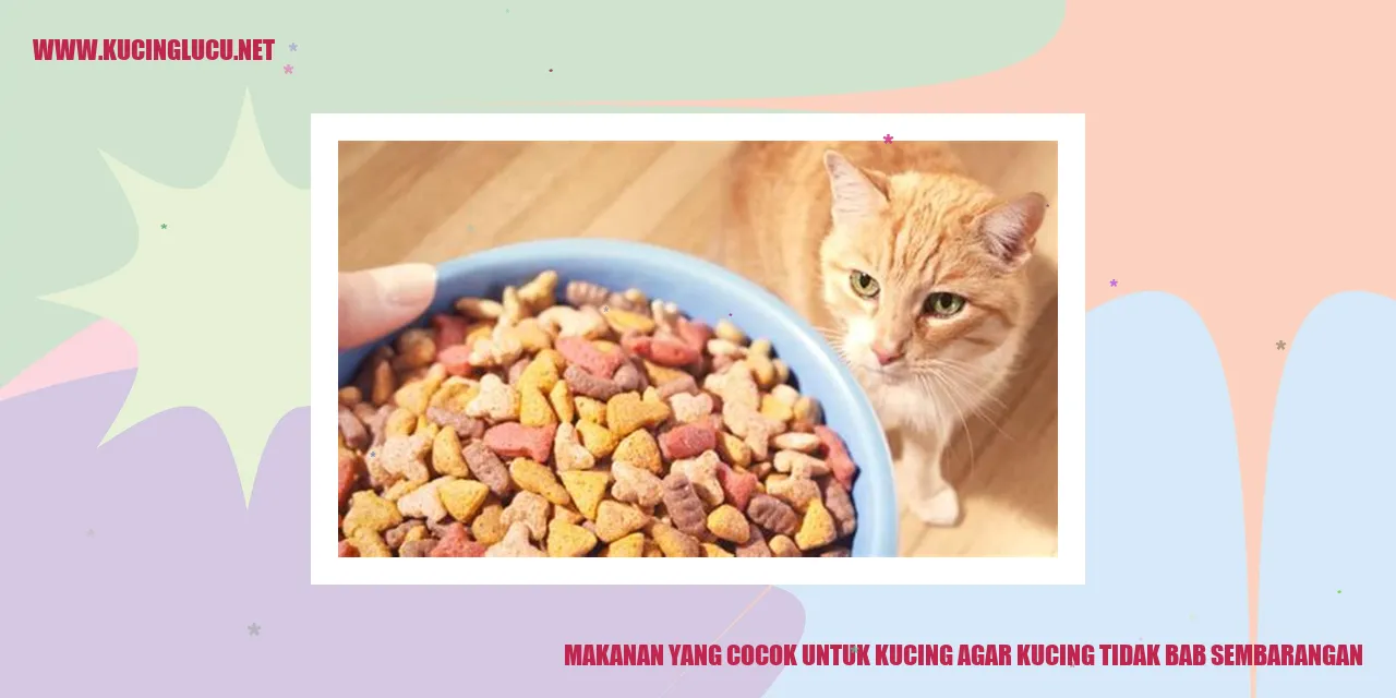 Gambar Makanan untuk Kucing