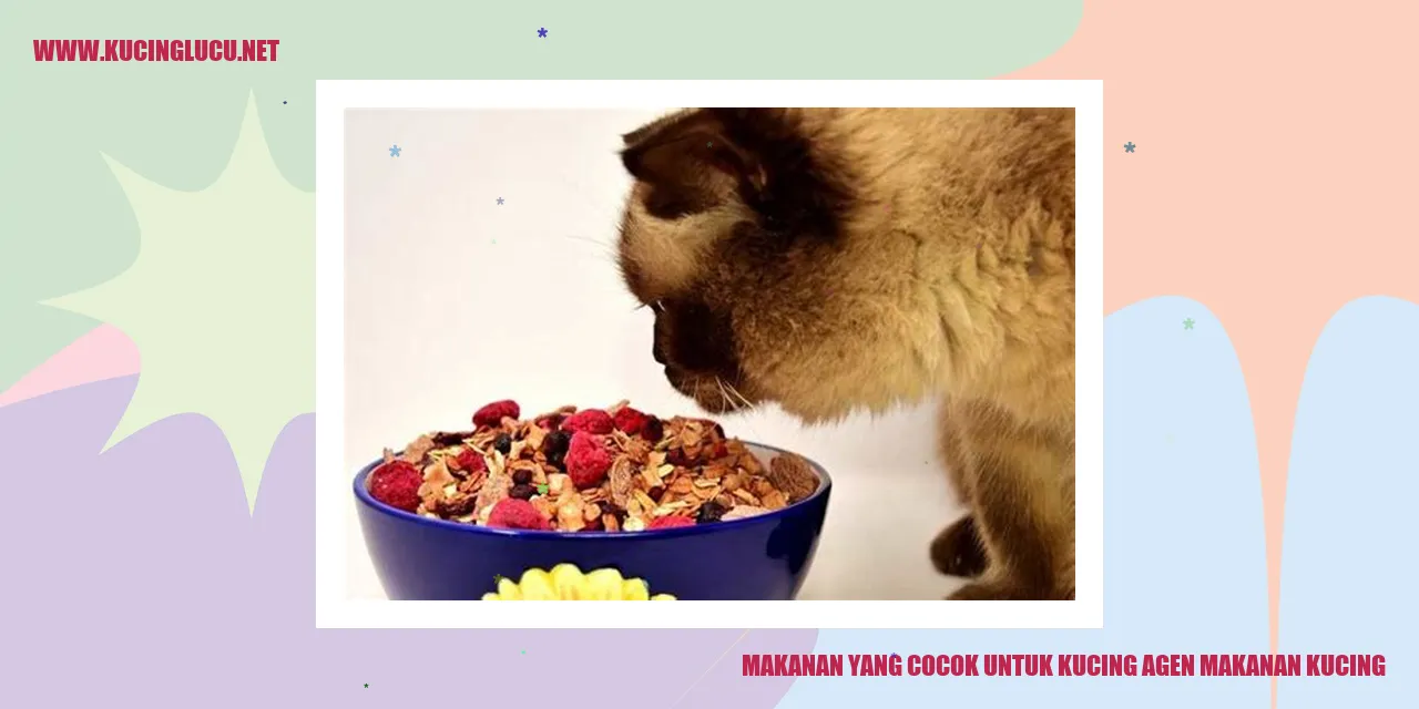 Makanan Kucing