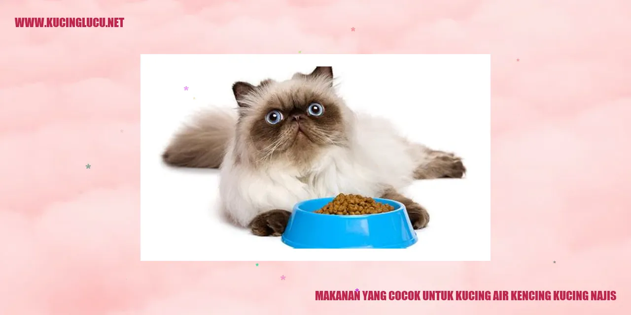 Gambar Makanan Kucing yang Sesuai