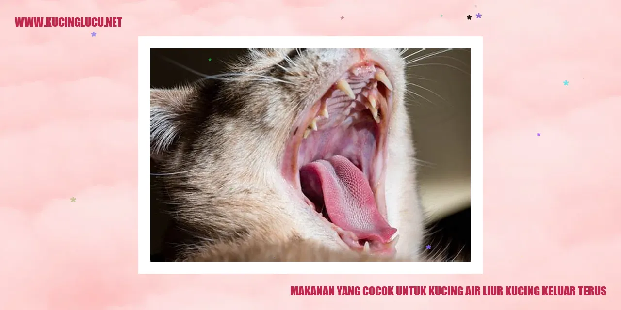 gambar makanan kucing