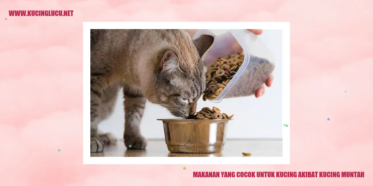 Makanan yang Cocok untuk Kucing akibat kucing muntah