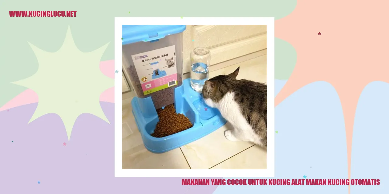 Foto kucing makanan