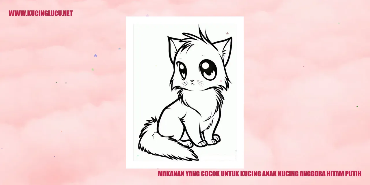 Gambar kucing anggora hitam putih