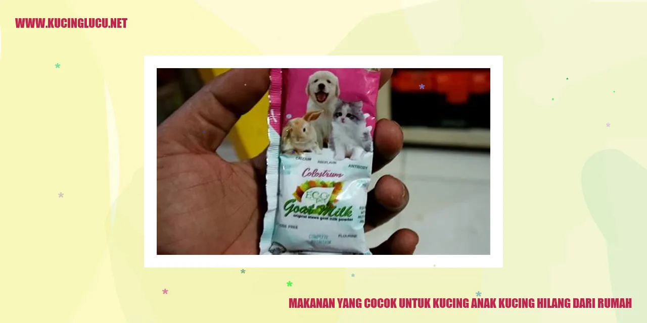 Makanan yang Cocok untuk Kucing