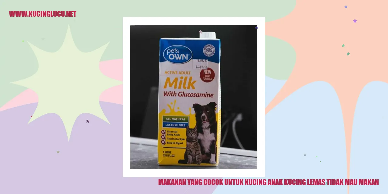 Makanan yang Cocok untuk Kucing Anak Kucing