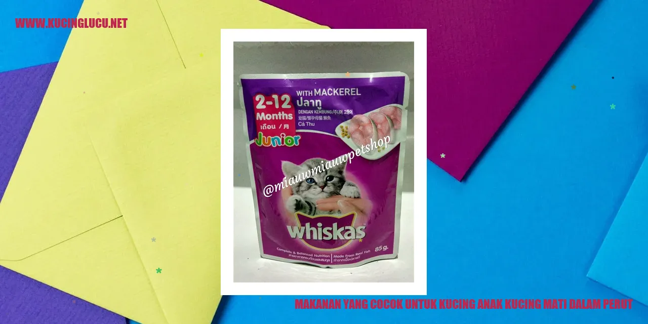 Gambar Makanan untuk Kucing